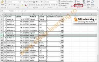 liner Adjustable Mount Vesuvius Microsoft Excel - Capitolul 2: Foile de calcul - IT Learning