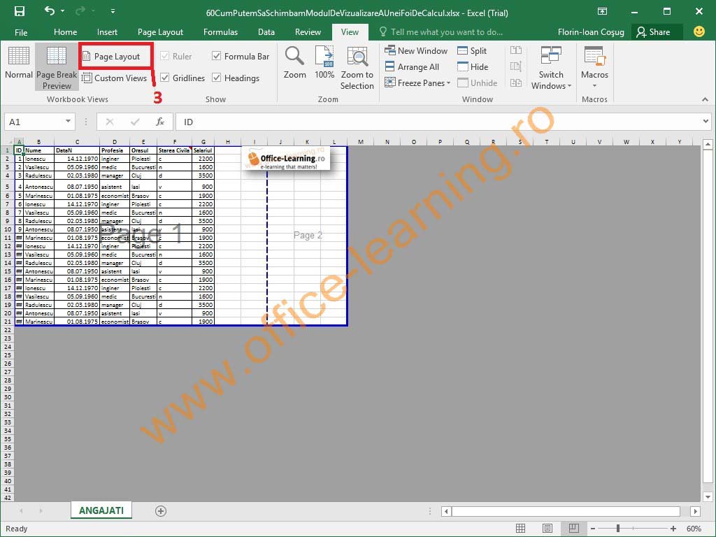 Microsoft Excel Capitolul 6 Imprimarea Registrului De Calcul