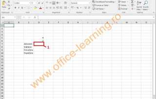 Microsoft Excel Capitolul 7 Formule Si Functii It Learning